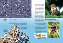 NTV, Entdecke Die Zugvögel -Haustierprodukte 3e540f332f87464350e4167dd2303b9d