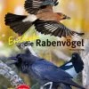 NTV, Entdecke Die Rabenvögel