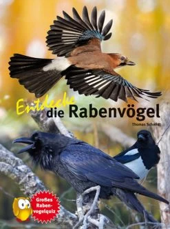 NTV, Entdecke Die Rabenvögel