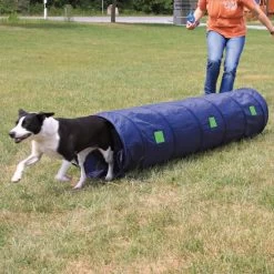 Trixie Agility-Tunnel Für Welpen Und Kleine Hunde, Nylon
