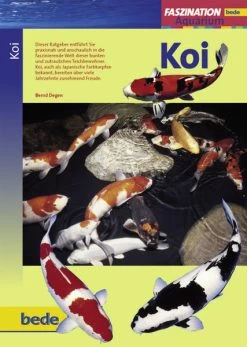 Bede Bei Ulmer, Faszination Koi