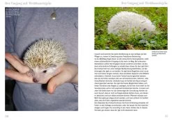 NTV - Weissbauchigel -Haustierprodukte 715d8aa502f26056d7413a3cfc2ad157