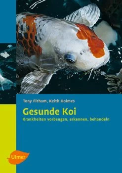 Ulmer, Gesunde Koi