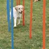 Trixie Dog Activity Agility Slalom, 115 X Durchmesser 3 Cm, 12 St., Blau/orange