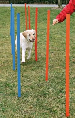 Trixie Dog Activity Agility Slalom, 115 X Durchmesser 3 Cm, 12 St., Blau/orange