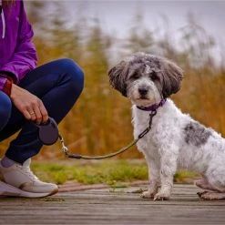 IDEALEASH Flextender -Haustierprodukte Flextender