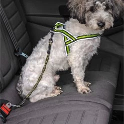 IDEALEASH Flextender -Haustierprodukte Flextender car