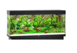 Juwel Aquarium RIO 240 -Haustierprodukte a schwarz 5