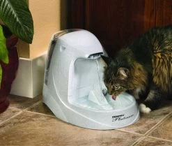 Drinkwell Platinum Trinkbrunnen 5 Drinkwell Platinum Trinkbrunnen -Haustierprodukte a5a34d247f6ff40a1961ff81a21b792b