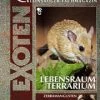 Rodentia 56 - Lebensraum Terrarium