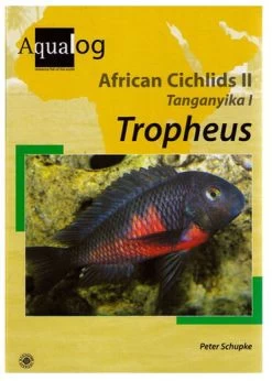 Afrikanische Buntbarsche Ll Tanganjika L