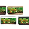 Juwel Aquarium RIO 180