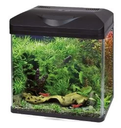 Laguna 30 - AquaScaping-Set