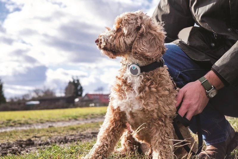 Verhaltens- Und Aktivitätstracker Animo 1 Verhaltens- Und Aktivitätstracker Animo