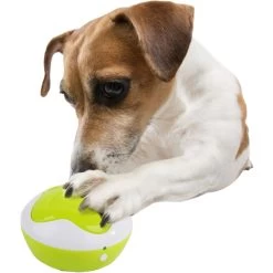 AFP Interaktiv - Dog Interpreter -Haustierprodukte apf interactive dog interpreter 1