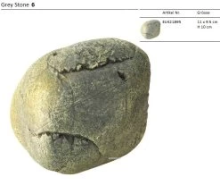 Aqua Della Greystone -Haustierprodukte aqua della greystone 6