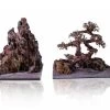 Aquascape Landscape Bonsai