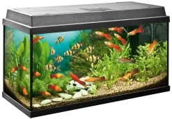 Juwel Aquarium Primo 110 LED, 81x36x45cm