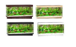 Juwel Aquarium RIO 240