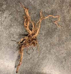 Dragon Wurzel -Haustierprodukte aquarium wurzel croci lengo dragon wood 2