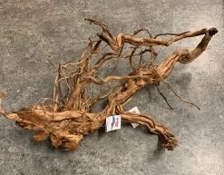 Dragon Wurzel -Haustierprodukte aquarium wurzel croci lengo dragon wood