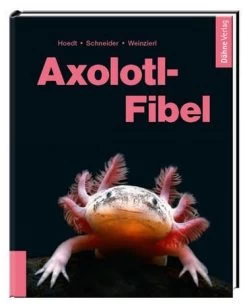 Axolotl-Fibel