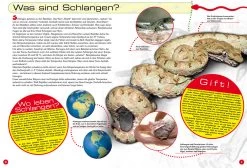 NTV, Entdecke Die Schlangen 7 NTV, Entdecke Die Schlangen -Haustierprodukte bdb437dafe2103a4d4d2c09e65c79113