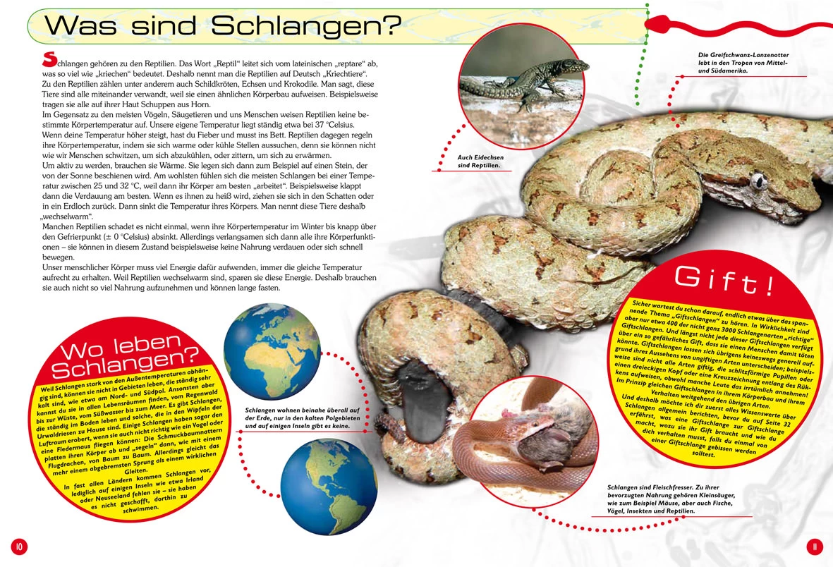 NTV, Entdecke Die Schlangen 3 NTV, Entdecke Die Schlangen - Image 3