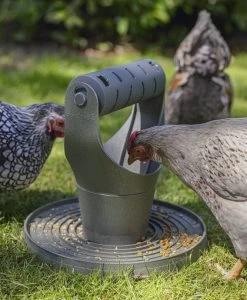 Beeztees Hühner Spiel- Und Snackturm