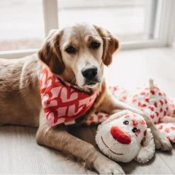 Beeztees Plüschund XL -Haustierprodukte beeztees xl plueschhund suki foto