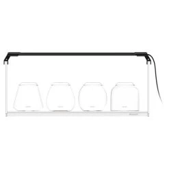 Wabi-Kusa SET 4 Gläser -Haustierprodukte bioloark bubble cup set mit beleuchtung