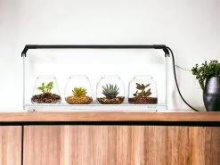 Wabi-Kusa SET 4 Gläser