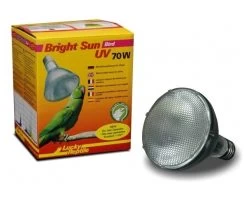 Bright Sun Bird 70Watt