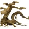 SuperFish Bonsai Planter
