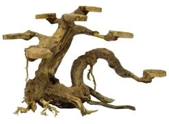 SuperFish Bonsai Planter