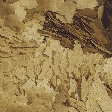 Tropical Breeder Mix 2 Tropical Breeder Mix - Image 2