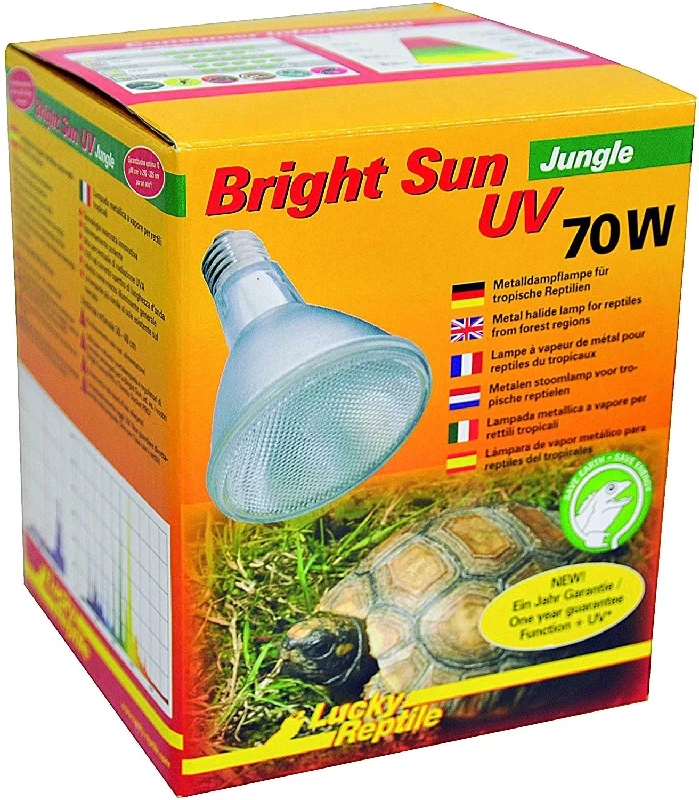 Bright Sun Set Turtle 2 Bright Sun Set Turtle - Image 2