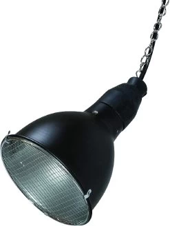 Bright Sun Set Turtle 7 Bright Sun Set Turtle -Haustierprodukte bright sun set turtle 2