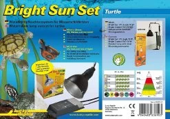 Bright Sun Set Turtle