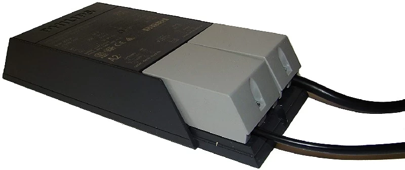 Bright Sun Set Turtle 4 Bright Sun Set Turtle - Image 4