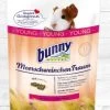 Bunny MeerschweinchenTraum Young