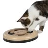 Trixie Cat Activity Fun Circle, Durchmesser 25 Cm