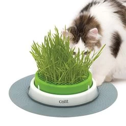 HAGEN Catit Senses 2.0 Gras Planter