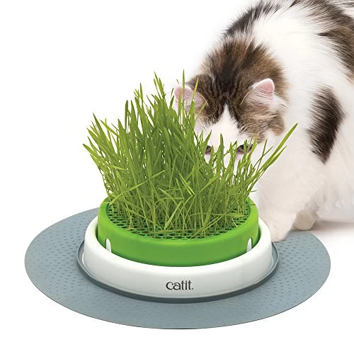 HAGEN Catit Senses 2.0 Gras Planter 1 HAGEN Catit Senses 2.0 Gras Planter