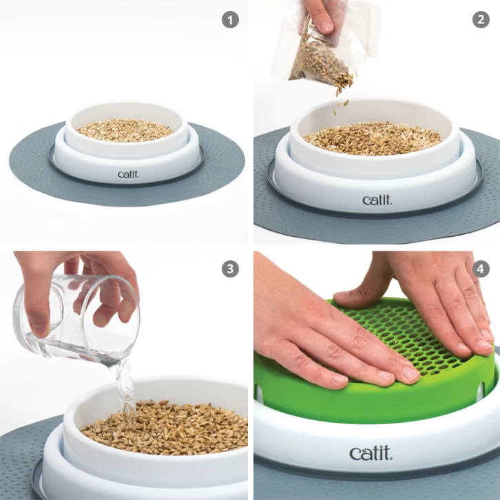 HAGEN Catit Senses 2.0 Gras Planter 2 HAGEN Catit Senses 2.0 Gras Planter - Image 2
