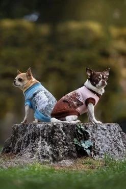 Croci Pullover Cervino - 25cm -Haustierprodukte croci pullover monterosa 2