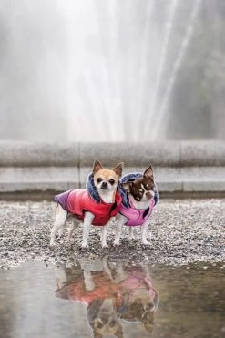 Croci Steppjacke Sunset Red - 25cm -Haustierprodukte croci steppjacke sunset pink 1 1