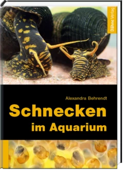Dähne Schnecken Im Aquarium - Alexandra Behrendt