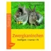Ulmer, SMART Zwergkaninchen