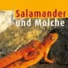 Ulmer, Salamander Und Molche